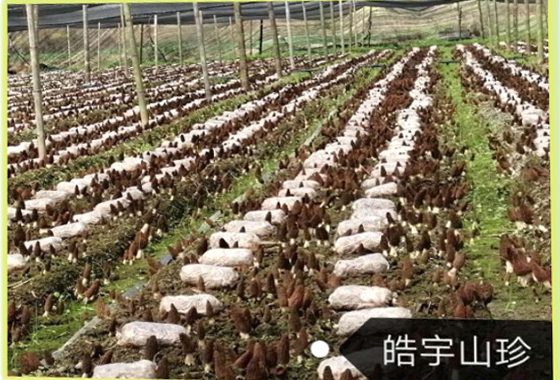 &#20048;&#31454;&#32593;&#39029;&#29256;&#30331;&#24405;&#20837;&#21475;&#45;&#20048;&#31454;&#40;&#20013;&#22269;&#41;