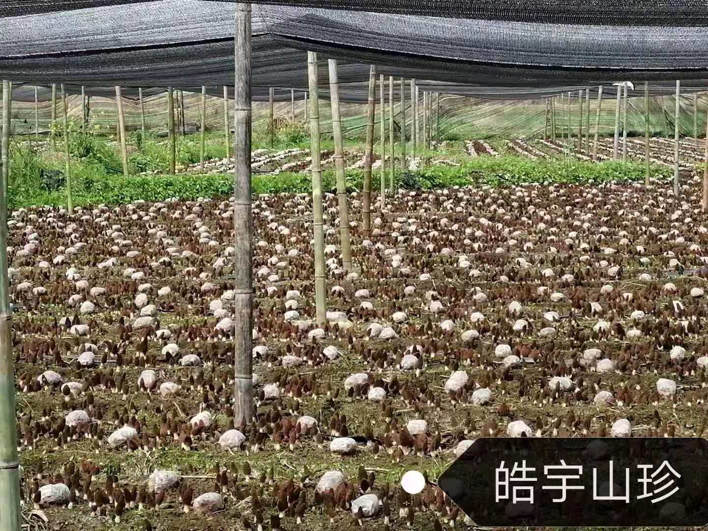 &#20048;&#31454;&#32593;&#39029;&#29256;&#30331;&#24405;&#20837;&#21475;&#45;&#20048;&#31454;&#40;&#20013;&#22269;&#41;