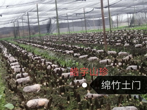 &#20048;&#31454;&#32593;&#39029;&#29256;&#30331;&#24405;&#20837;&#21475;&#45;&#20048;&#31454;&#40;&#20013;&#22269;&#41;