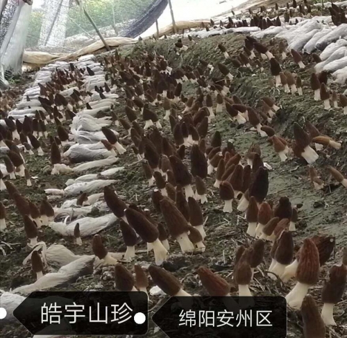 &#20048;&#31454;&#32593;&#39029;&#29256;&#30331;&#24405;&#20837;&#21475;&#45;&#20048;&#31454;&#40;&#20013;&#22269;&#41;