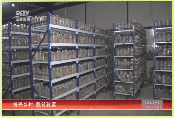 &#20048;&#31454;&#32593;&#39029;&#29256;&#30331;&#24405;&#20837;&#21475;&#45;&#20048;&#31454;&#40;&#20013;&#22269;&#41;