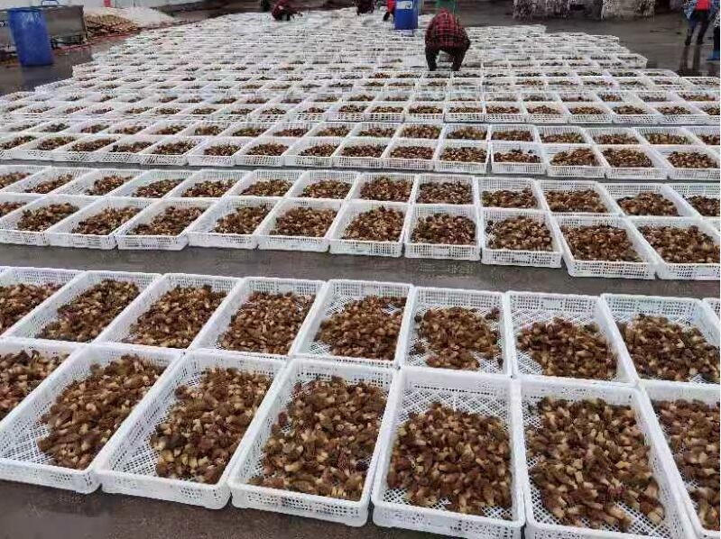 &#20048;&#31454;&#32593;&#39029;&#29256;&#30331;&#24405;&#20837;&#21475;&#45;&#20048;&#31454;&#40;&#20013;&#22269;&#41;