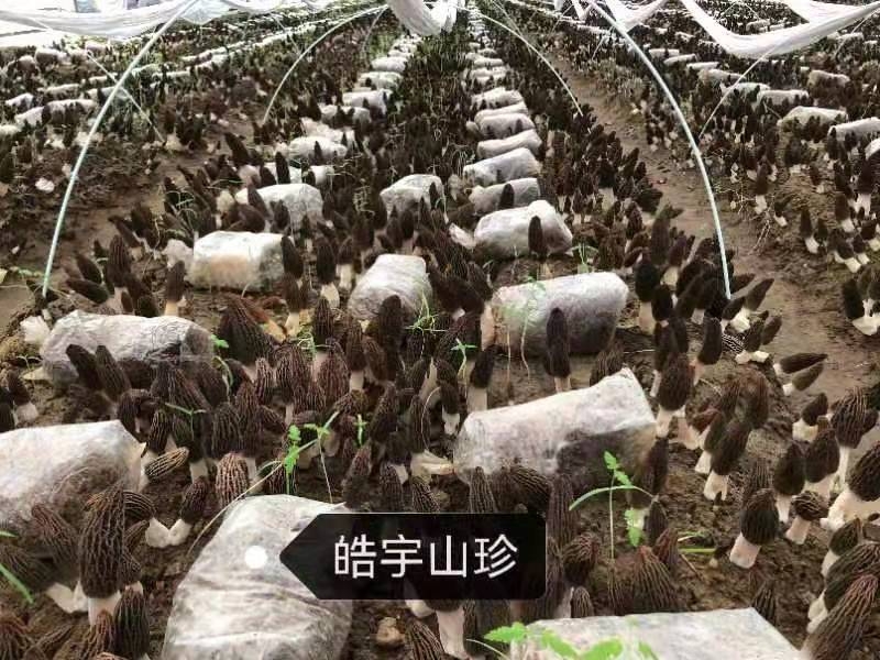 &#20048;&#31454;&#32593;&#39029;&#29256;&#30331;&#24405;&#20837;&#21475;&#45;&#20048;&#31454;&#40;&#20013;&#22269;&#41;