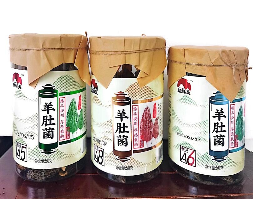 &#20048;&#31454;&#32593;&#39029;&#29256;&#30331;&#24405;&#20837;&#21475;&#45;&#20048;&#31454;&#40;&#20013;&#22269;&#41;