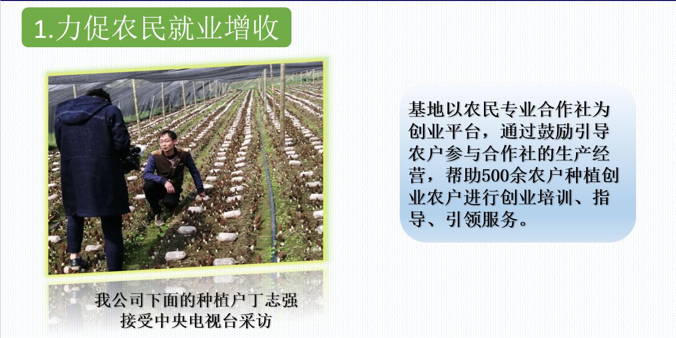 &#20048;&#31454;&#32593;&#39029;&#29256;&#30331;&#24405;&#20837;&#21475;&#45;&#20048;&#31454;&#40;&#20013;&#22269;&#41;