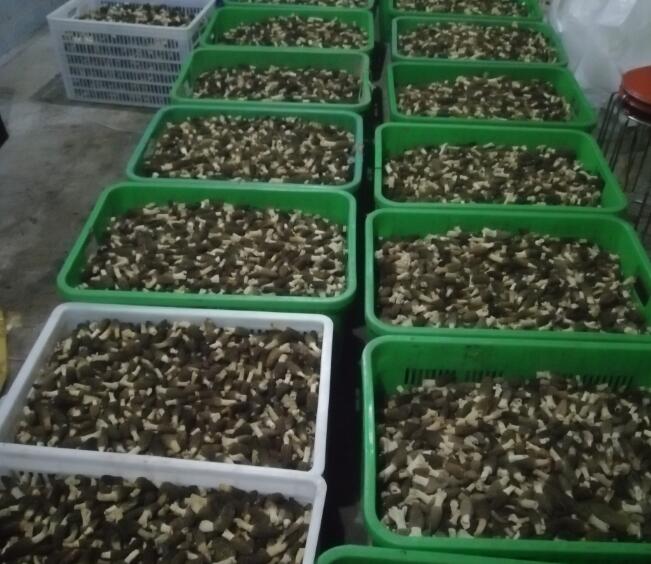 &#20048;&#31454;&#32593;&#39029;&#29256;&#30331;&#24405;&#20837;&#21475;&#45;&#20048;&#31454;&#40;&#20013;&#22269;&#41;