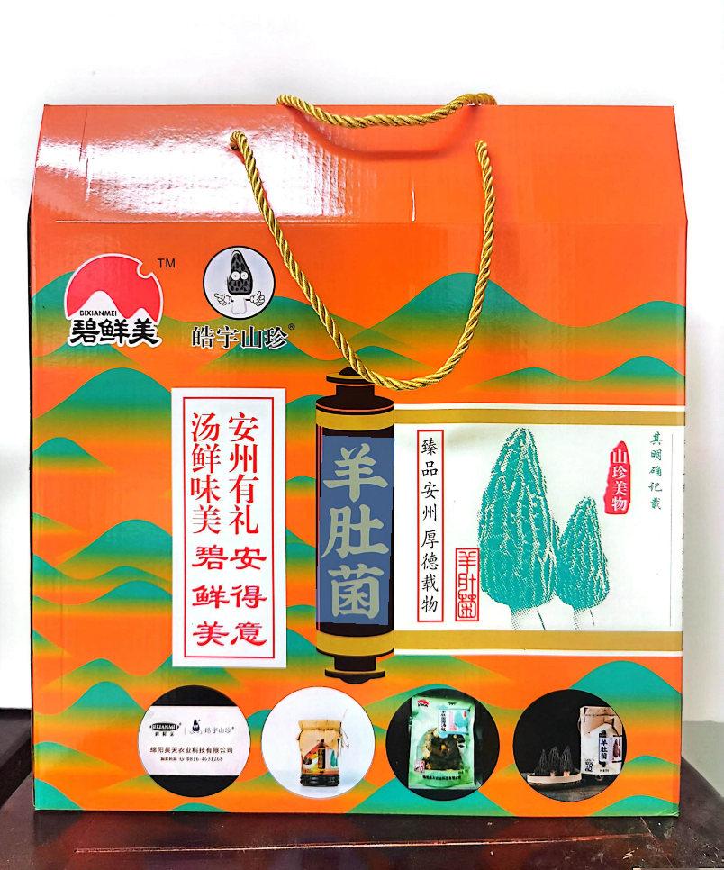 &#20048;&#31454;&#32593;&#39029;&#29256;&#30331;&#24405;&#20837;&#21475;&#45;&#20048;&#31454;&#40;&#20013;&#22269;&#41;